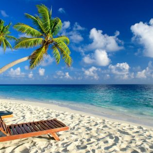 What is the best employee vacation calendar software?